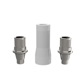 INTERFACE ABUTMENT